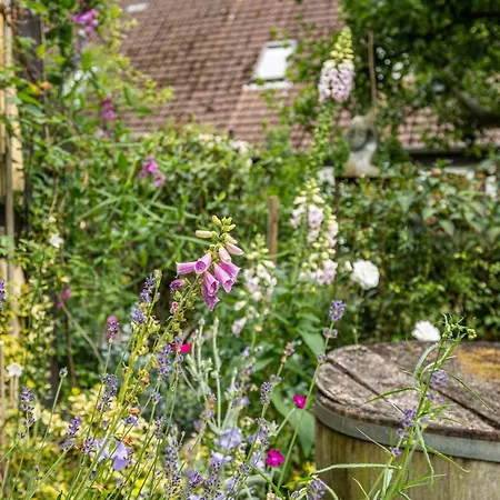 Lieblingsplatz アパート ブレーメン